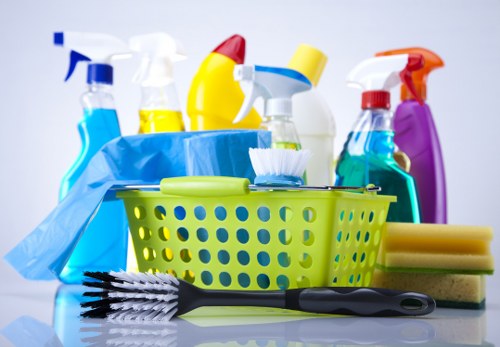 Move in cleaning service preparing an empty home for new occupants
