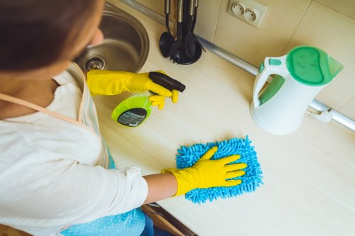 Tools and supplies used for effective window cleaning