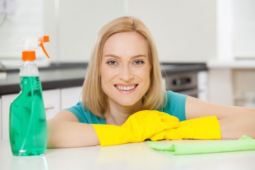 Cleaner wiping a kitchen surface during domestic cleaning