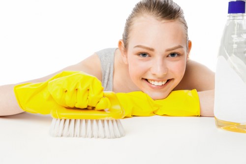 Detailed move in cleaning of kitchen cabinets and countertops