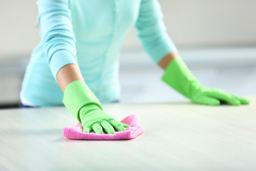 Professional move out cleaning supplies in a bright kitchen