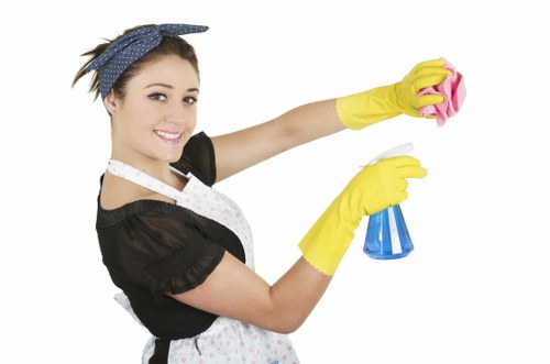 Detailed window cleaning with squeegee and microfiber cloth