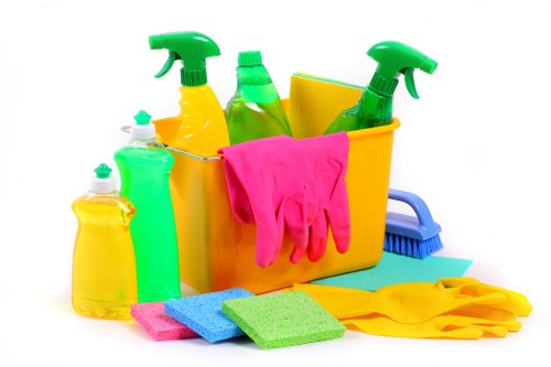 Bathroom domestic cleaning and sanitizing routine